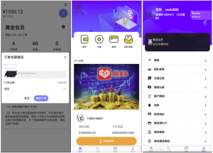 运营版本2025全新源码多国言 抢单商城 定制UI 刷单 商城抢单系统 订单自动匹配系统 叠加组 打针福利单
